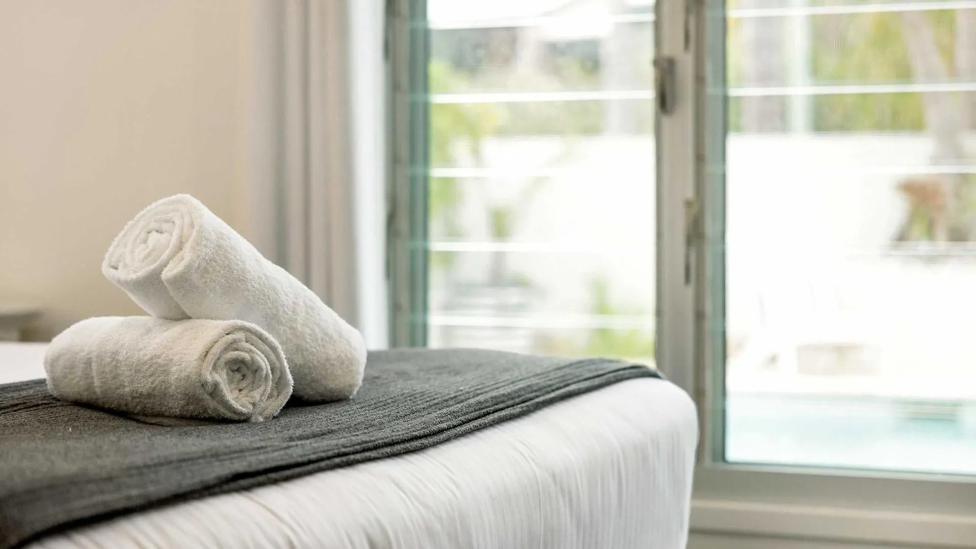 Stunning Alex Heads Beach House - Pet Friendly Alexandra Headland Australia