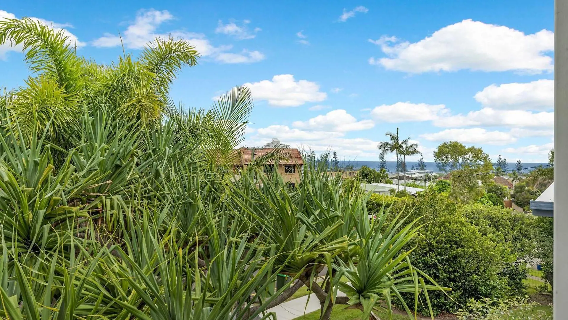 Stunning Alex Heads Beach House - Pet Friendly Alexandra Headland Holiday home